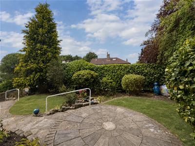 Picture 20